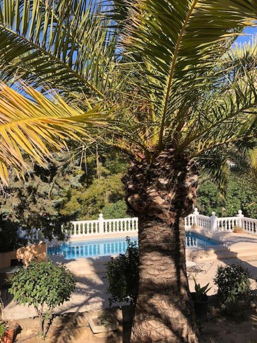 Ferienwohnung Casa Con Piscina Calp Exterior foto